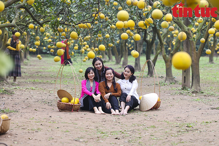 Ch&uacute; th&iacute;ch ảnh