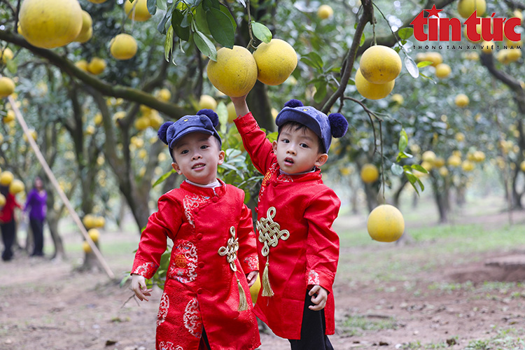 Ch&uacute; th&iacute;ch ảnh