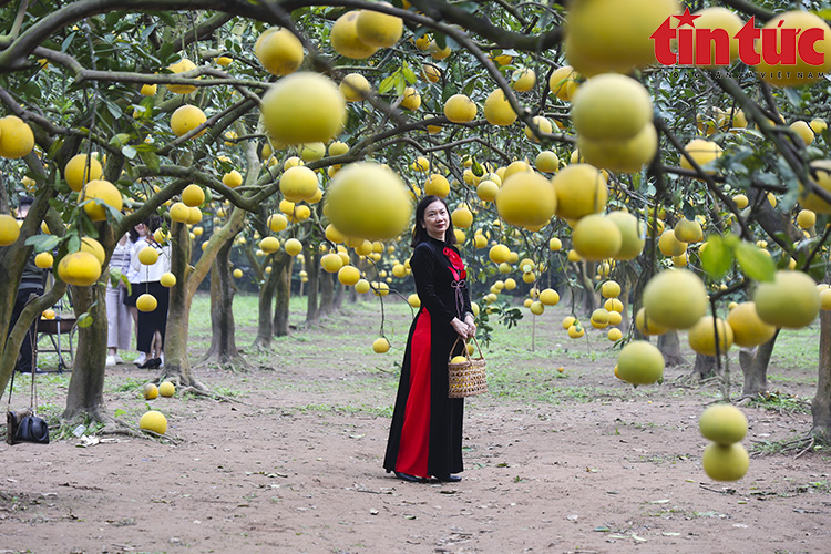 Ch&uacute; th&iacute;ch ảnh