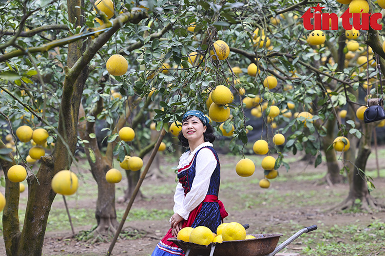 Ch&uacute; th&iacute;ch ảnh