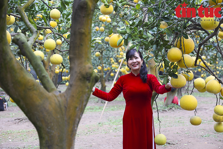 Ch&uacute; th&iacute;ch ảnh