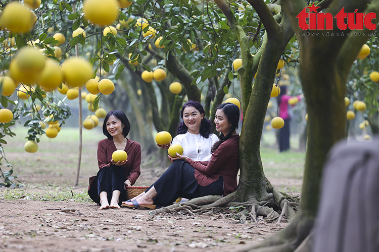 Ch&uacute; th&iacute;ch ảnh