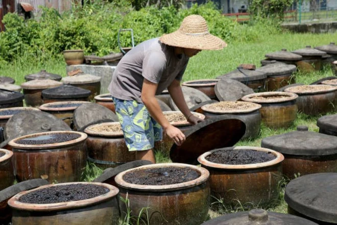 Sản xuất nước tương truyền thống tại Malaysia. (Ảnh: iStock) nuoc-tuong-truyen-thong-9810.jpg