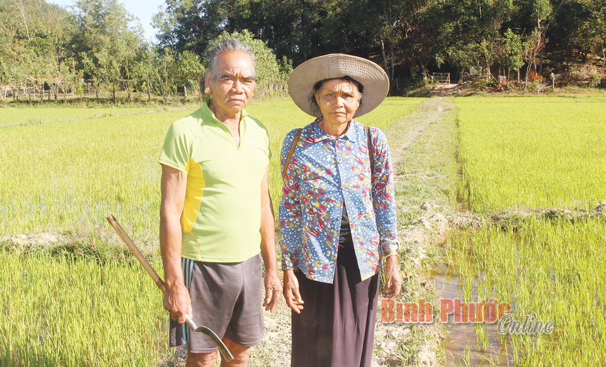 Già làng “độc nhất vô nhị”