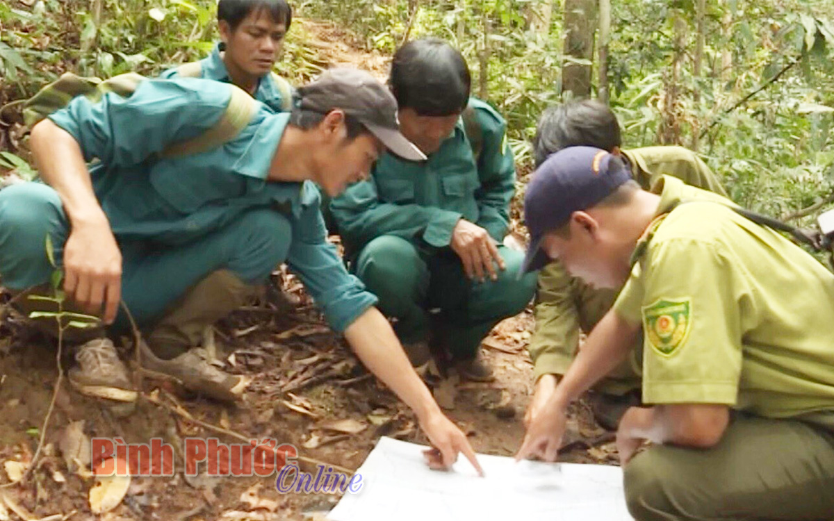 Chủ động phòng chống cháy rừng