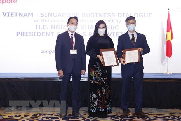 Gan 11 ty USD cam ket hop tac giua doanh nghiep Viet Nam-Singapore hinh anh 3