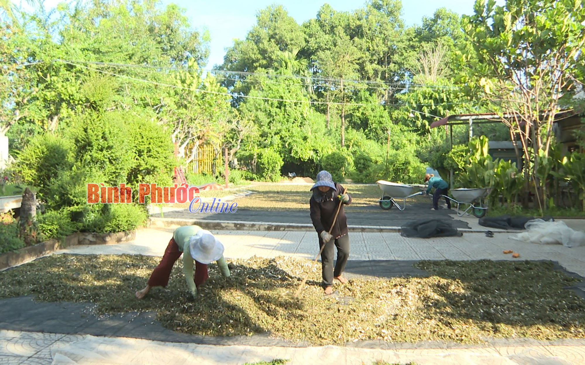 Những đóng góp thầm lặng