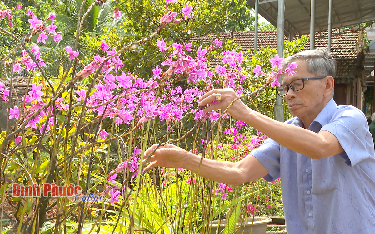 Nơi "hạt giống đỏ" nảy mầm