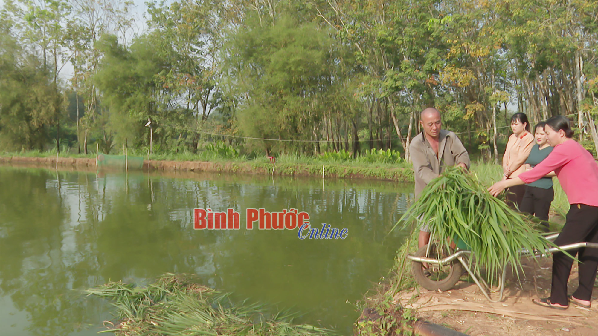 Thu lợi cao từ cá trắm cỏ