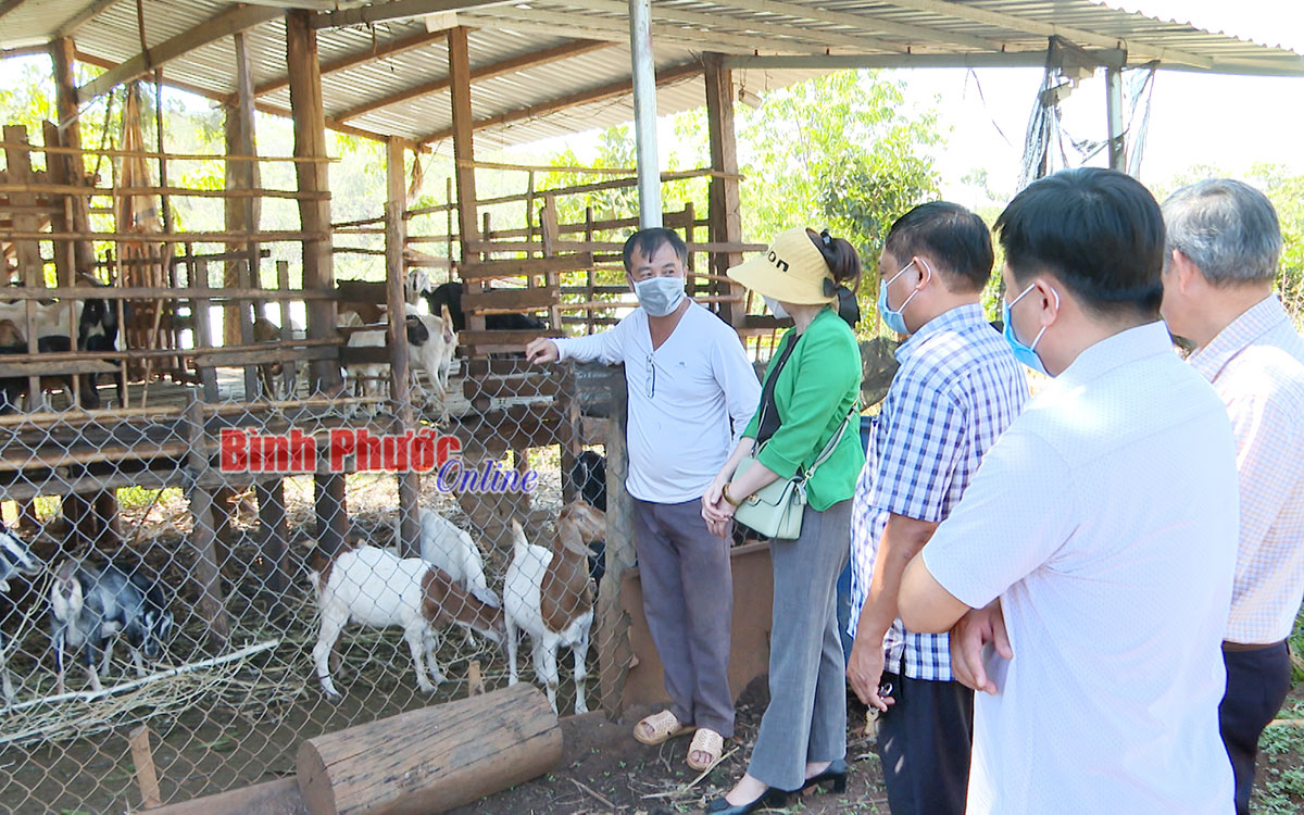 Quỹ hỗ trợ nông dân tiếp sức nhà nông làm giàu