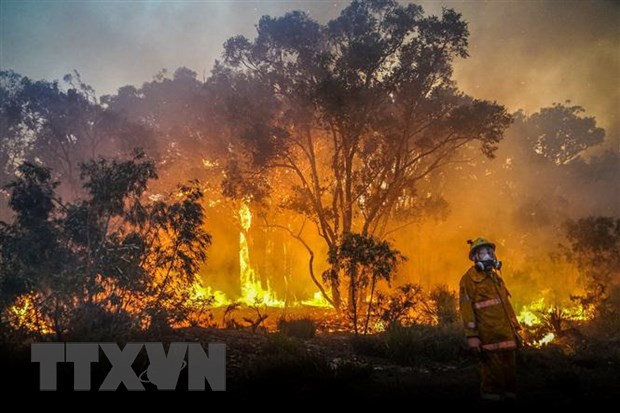 10 vụ cháy rừng tồi tệ nhất thế giới từng chứng kiến  VOVVN