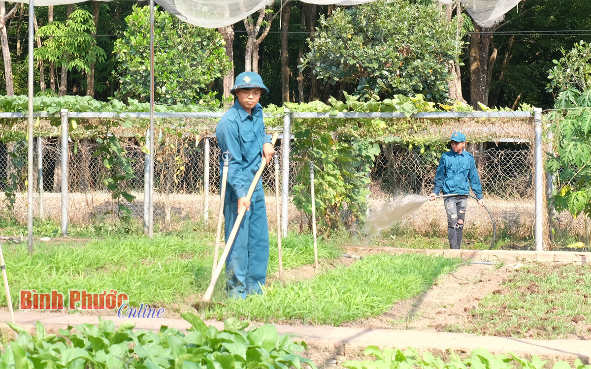 Bình yên trên chốt dân quân biên giới