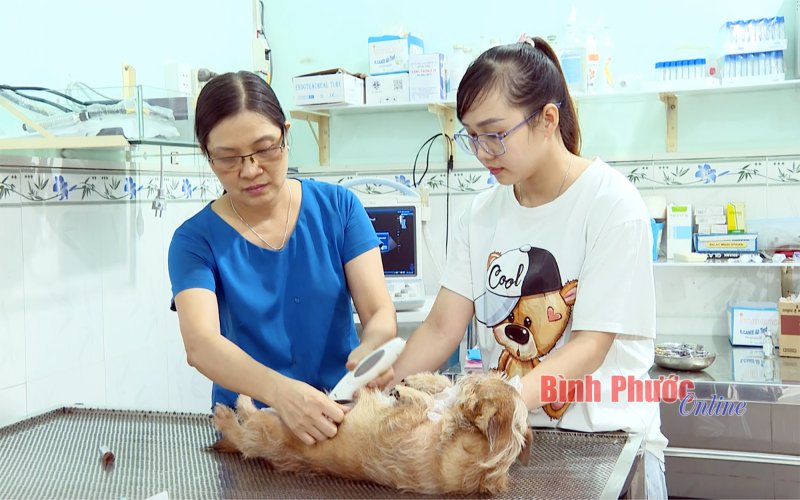 Phát triển dịch vụ chăm sóc thú cưng