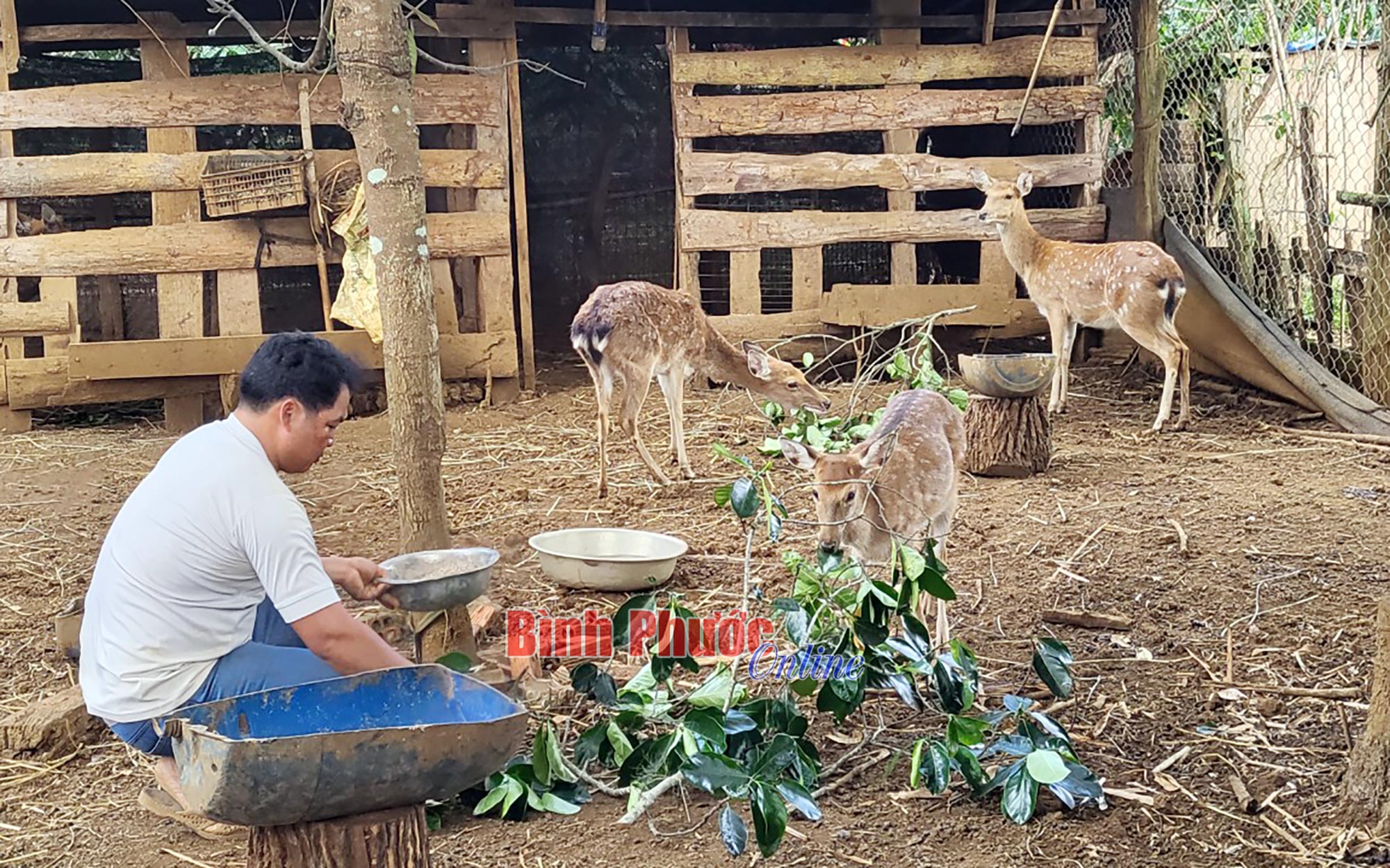 Giảm nghèo bền vững vùng đồng bào dân tộc thiểu số và miền núi ở nước ta  hiện nay  Dân tộc  Tôn giáo  Uỷ ban Trung ương Mặt trận