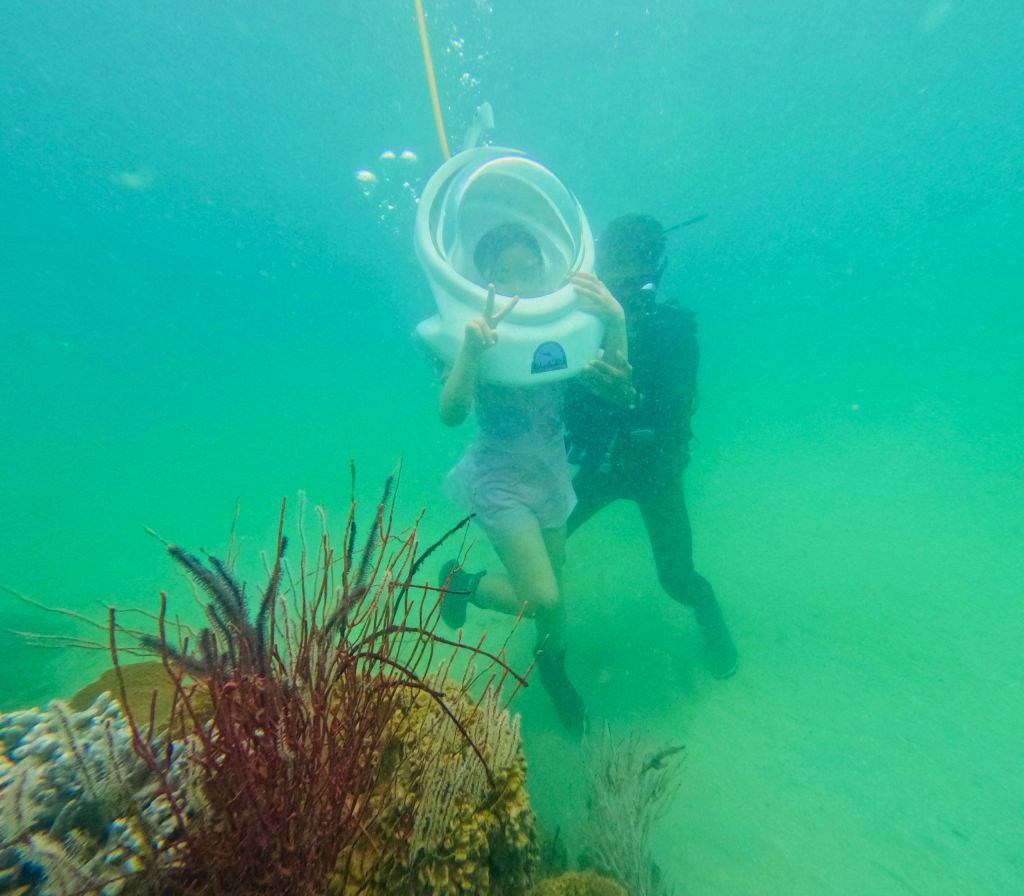 Lặn ngắm san hô là trải nghiệm độc đáo tại Cô Tô.