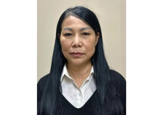 Bà Hoàng Thị Thúy Lan. (Ảnh: TTXVN phát) ttxvn_thuy lan 2.jpg