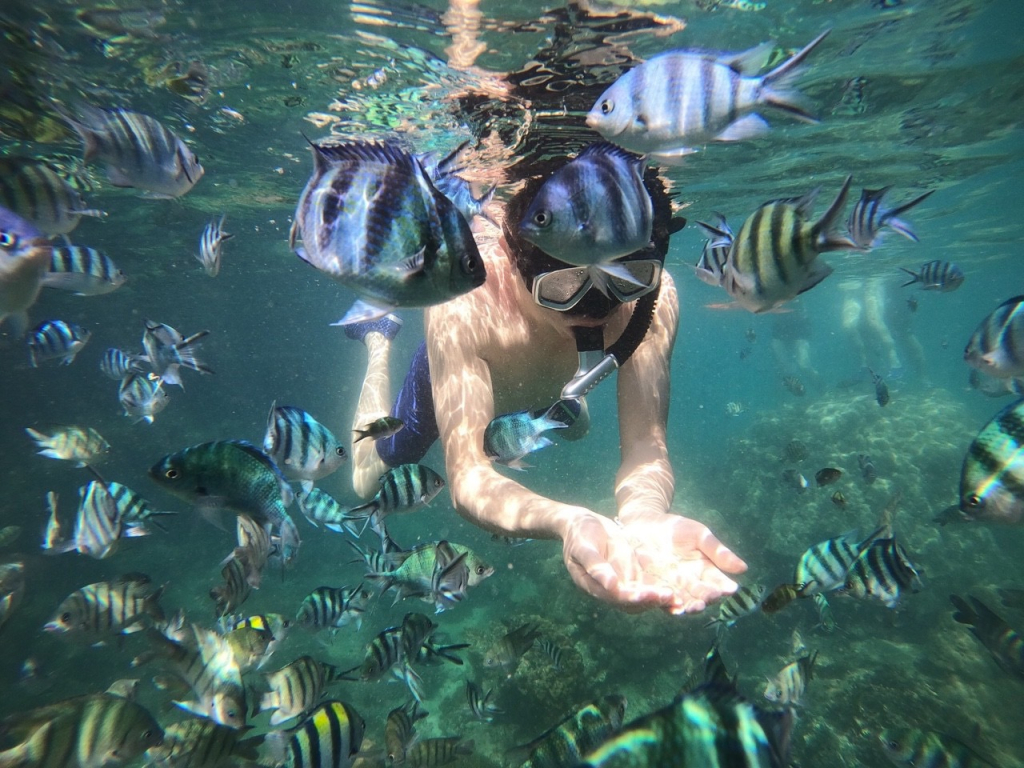 Trải nghiệm lặn biển ở Cô Tô được nhiều du khách yêu thích, 