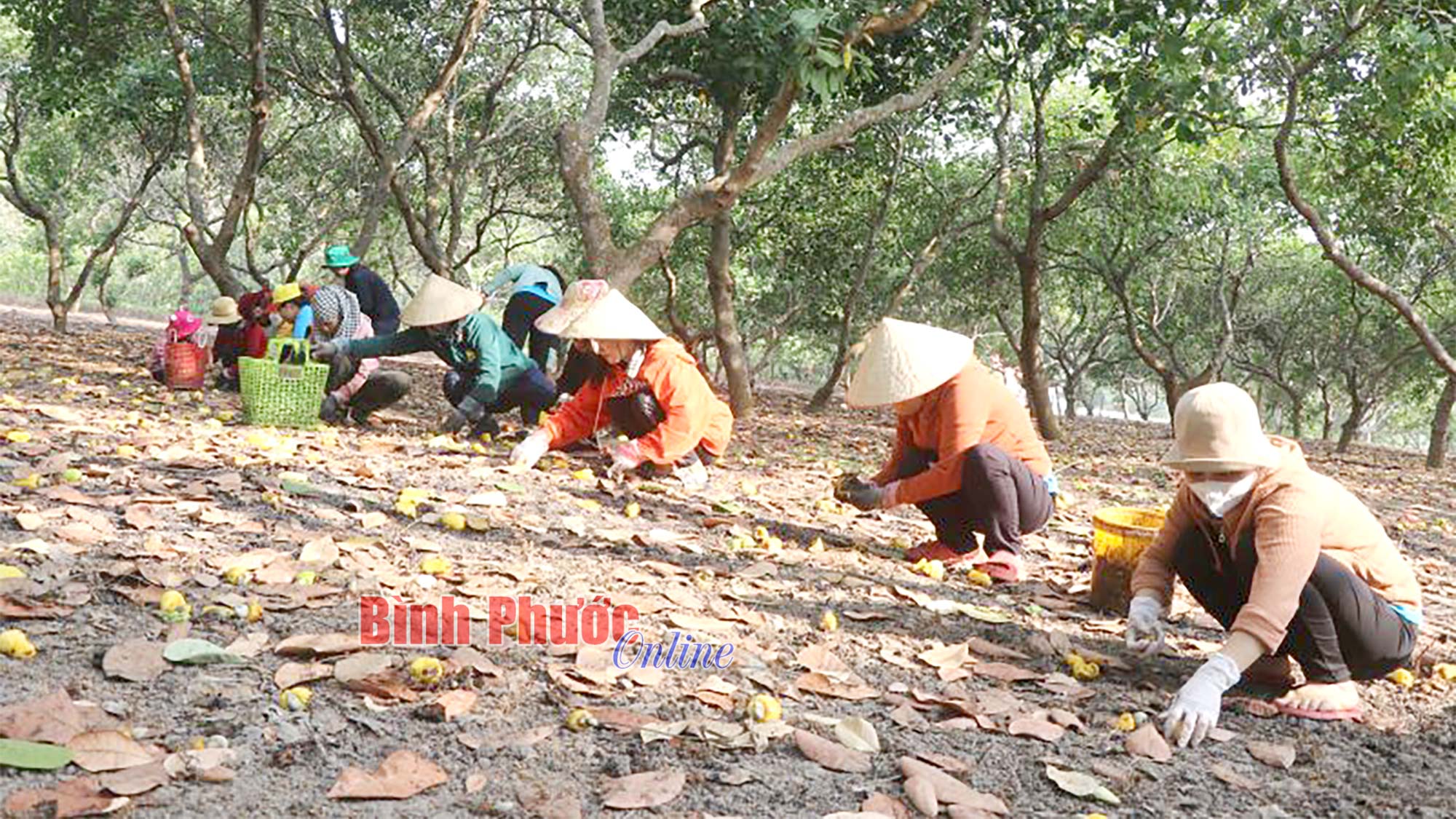 Ấm áp nghĩa tình hậu phương