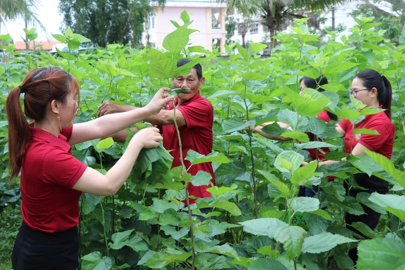 Chiến thắng đường 5 - Mốc son lịch sử của quân dân Phú Yên ảnh 5