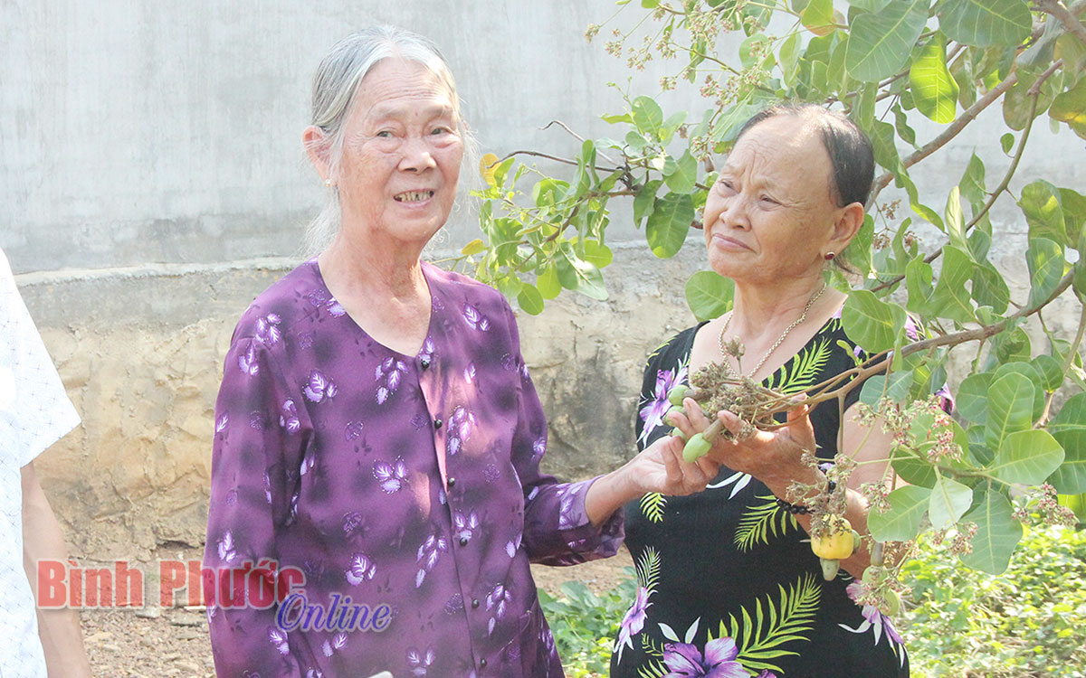 Những nữ “thủ lĩnh” của làng