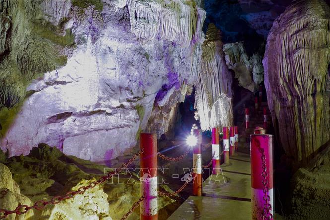 Ch&uacute; th&iacute;ch ảnh