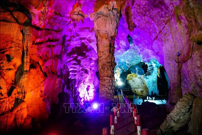 Ch&uacute; th&iacute;ch ảnh