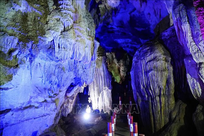 Ch&uacute; th&iacute;ch ảnh