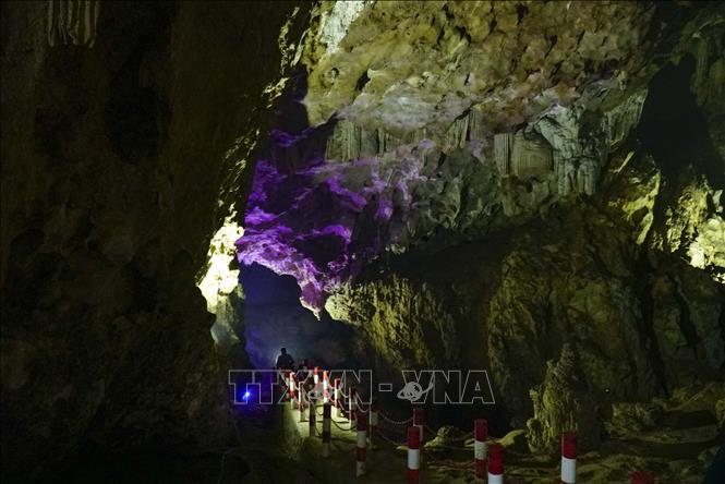 Ch&uacute; th&iacute;ch ảnh