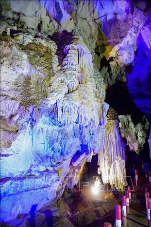 Ch&uacute; th&iacute;ch ảnh