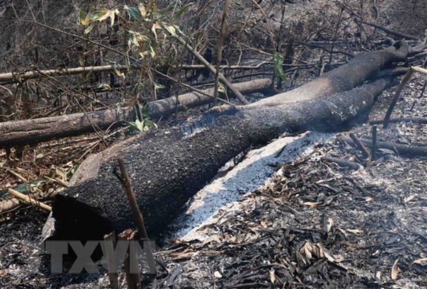 Lai Châu: Huy động hơn 300 người chữa cháy rừng ở xã Mường Kim