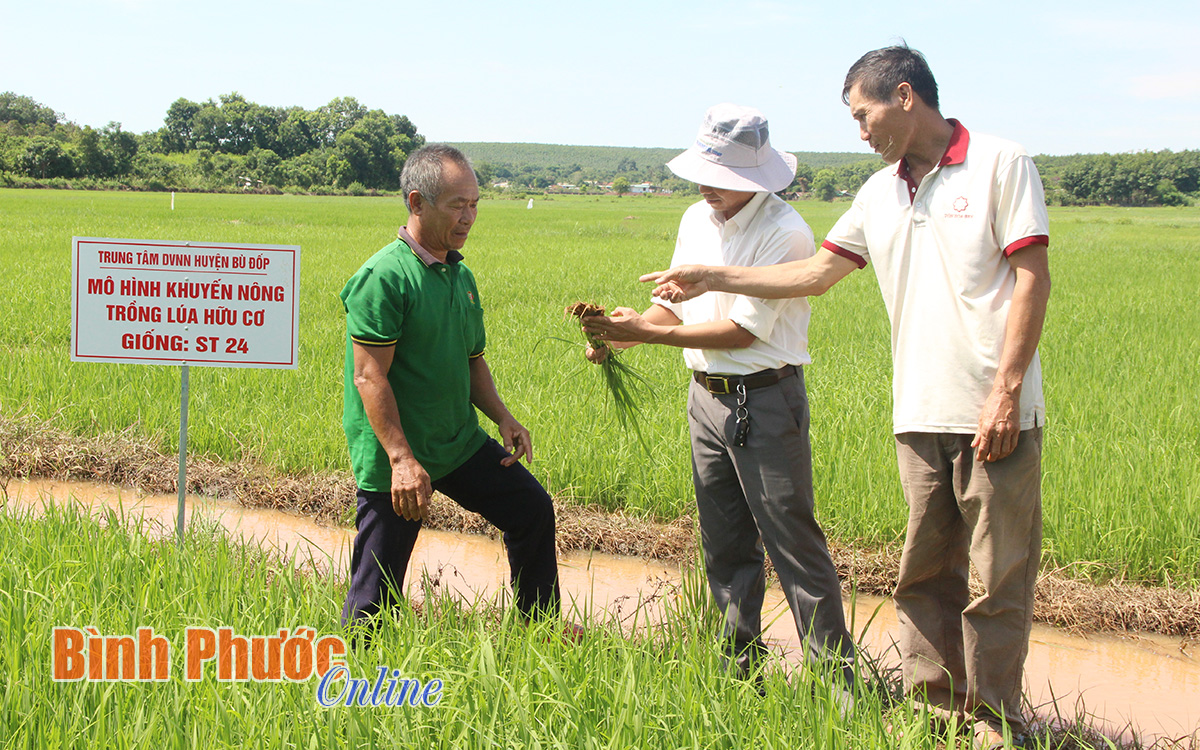 Nâng cao đạo đức công vụ, vì sự hài lòng của Nhân dân