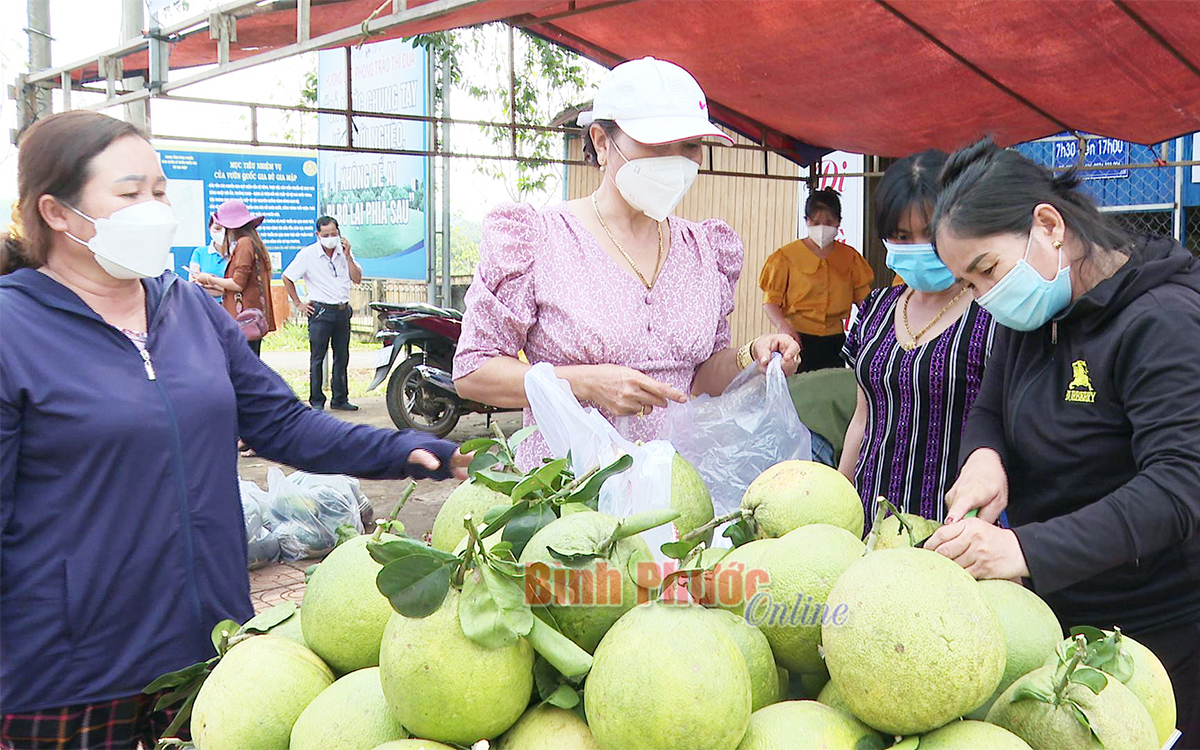 Chợ phiên biên giới nghĩa tình