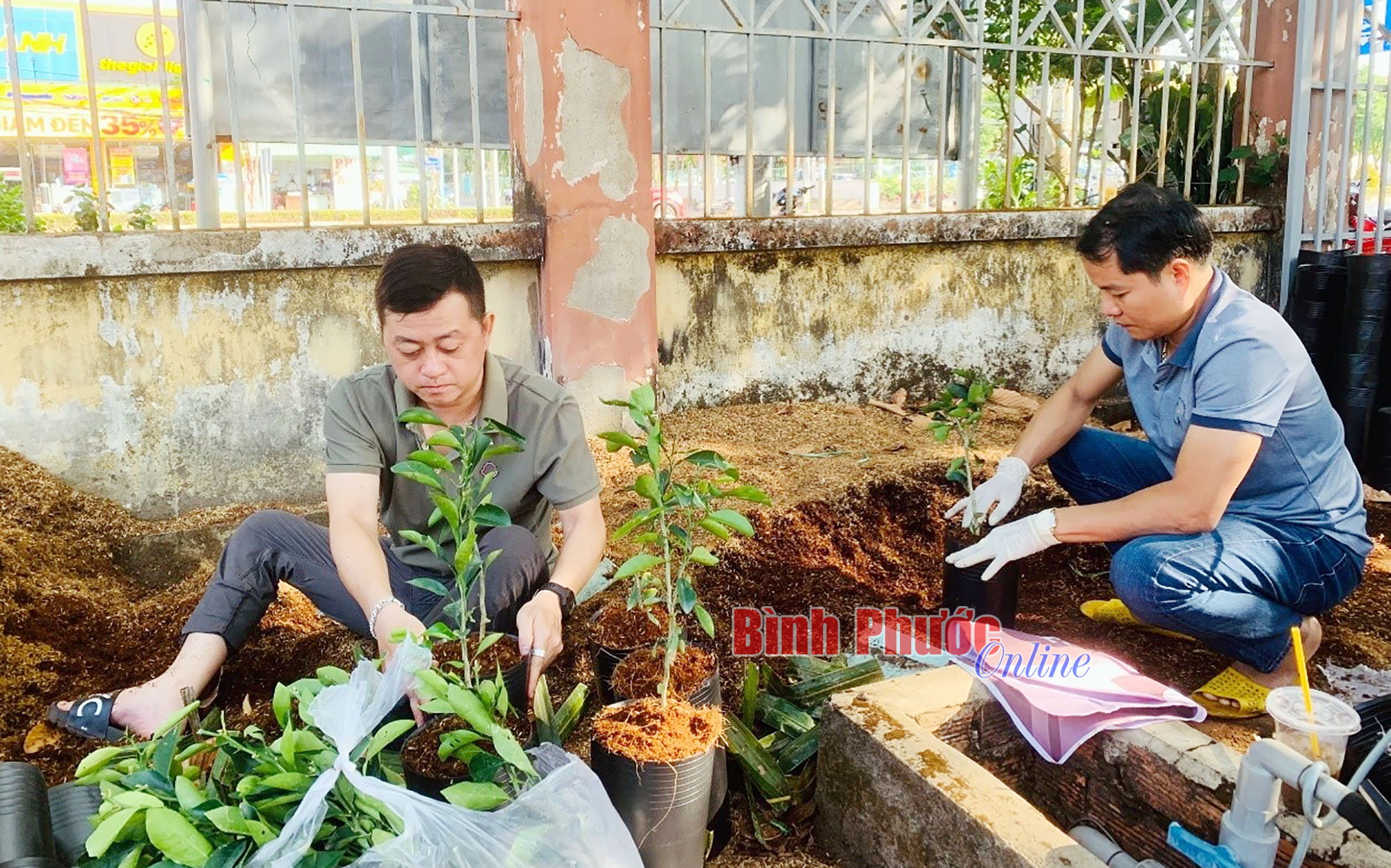 Phát triển cây ăn trái trở thành thế mạnh