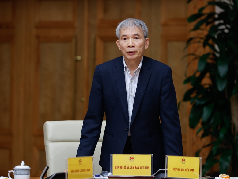 Thủ tướng: Tập trung triển khai 'bộ tứ chiến lược' theo nghị quyết, chủ trương của Đảng- Ảnh 8.