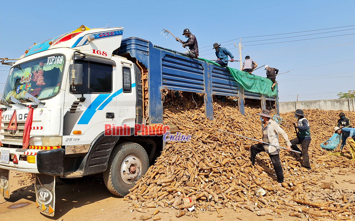 “Liều thuốc” giúp doanh nghiệp hồi sức