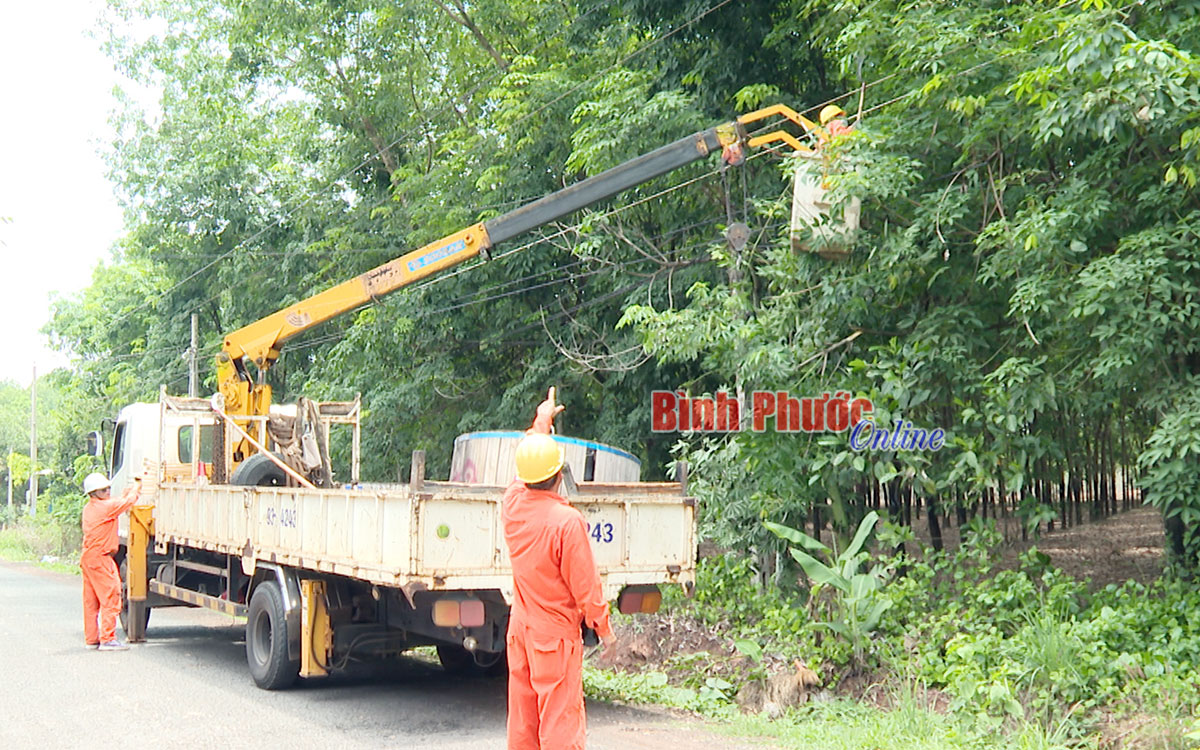 PC Bình Phước đảm bảo cung ứng điện cho ngày hội toàn dân