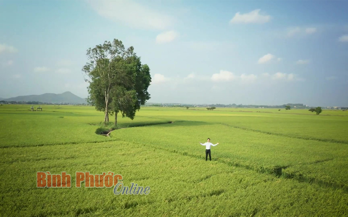 Trong màu lá cây rừng - Binh Phuoc, Tin tuc Binh Phuoc, Tin mới tỉnh Bình  Phước