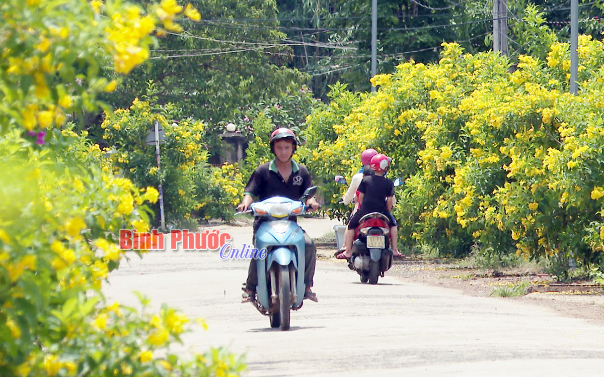 Phong trào xây dựng tuyến đường “đạt 5 tiêu chí”