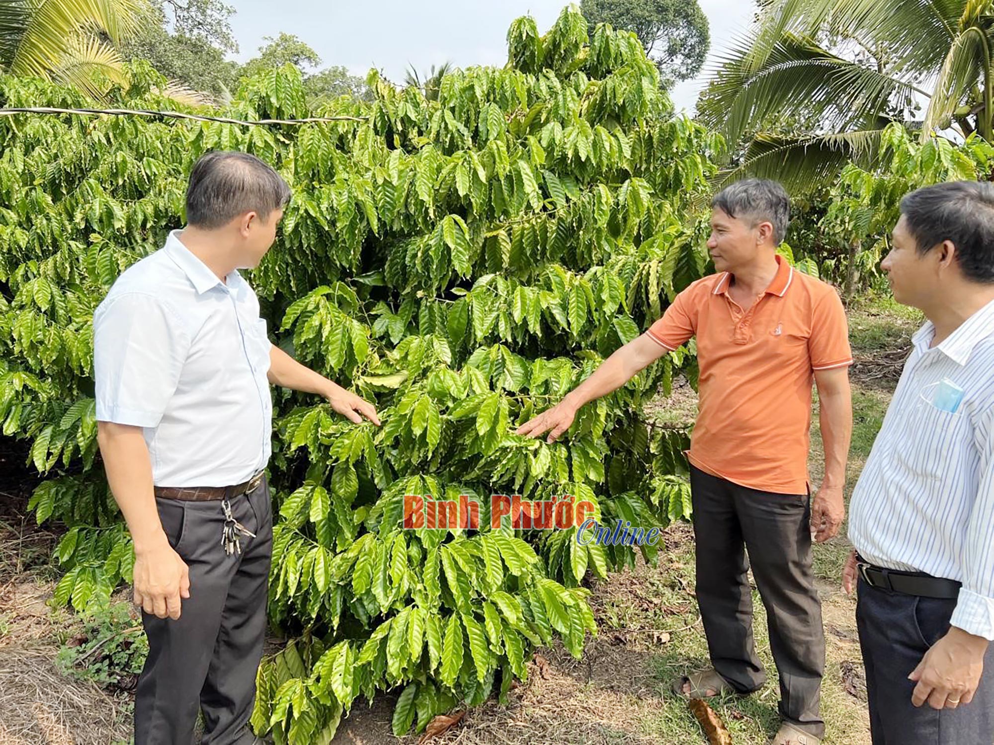 Thu nhập hàng tỷ đồng từ đa canh