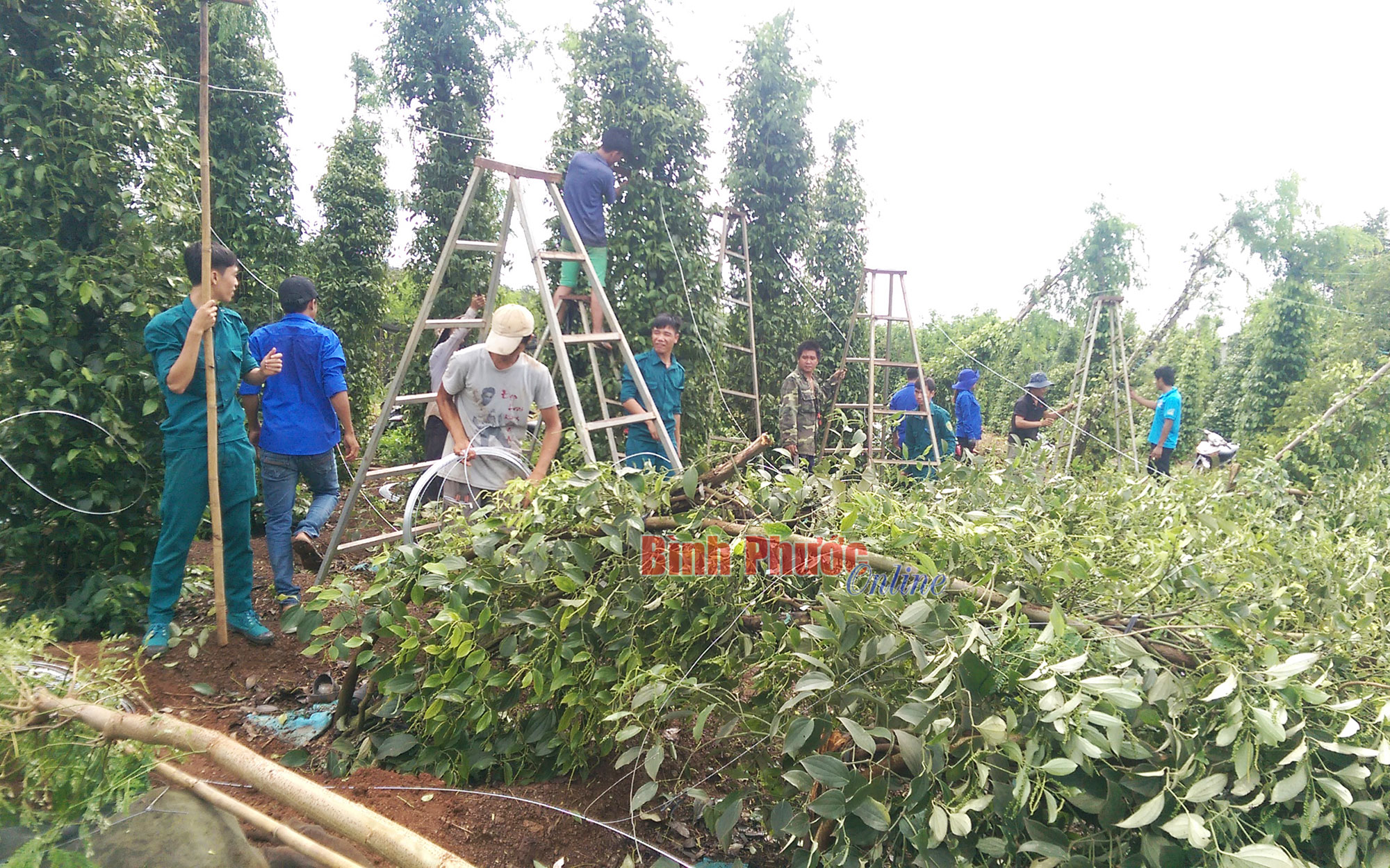 Nâng cao ý thức cộng đồng trong phòng, chống thiên tai