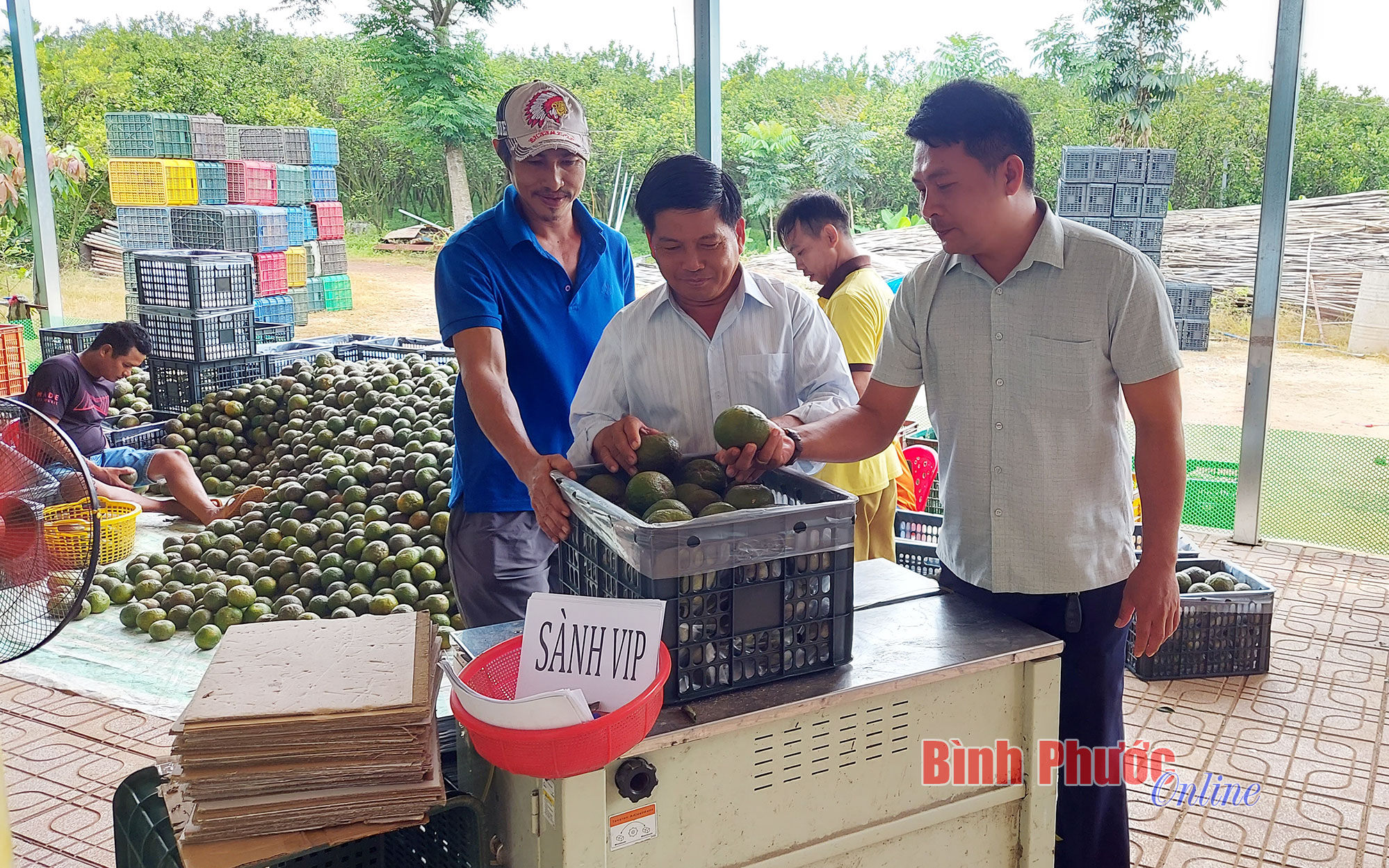 Lộc Ninh phấn đấu 100% chuyển đổi số sản phẩm OCOP đến năm 2025