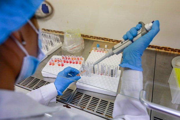 Bo Y te thong tin ve hinh thuc dau thau hoa chat, dat may, muon may hinh anh 1