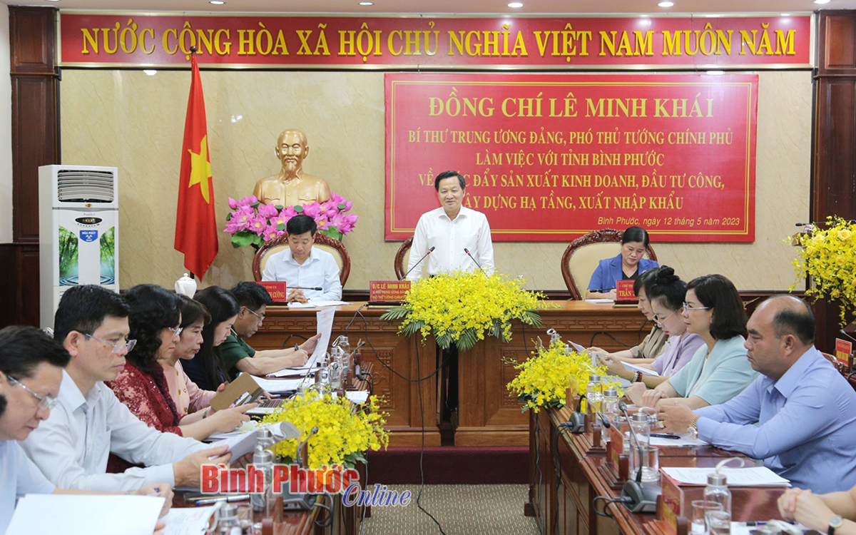 Bí thư Trung ương Đảng, Phó Thủ tướng Chính phủ Lê Minh Khái phát biểu tại buổi làm việc