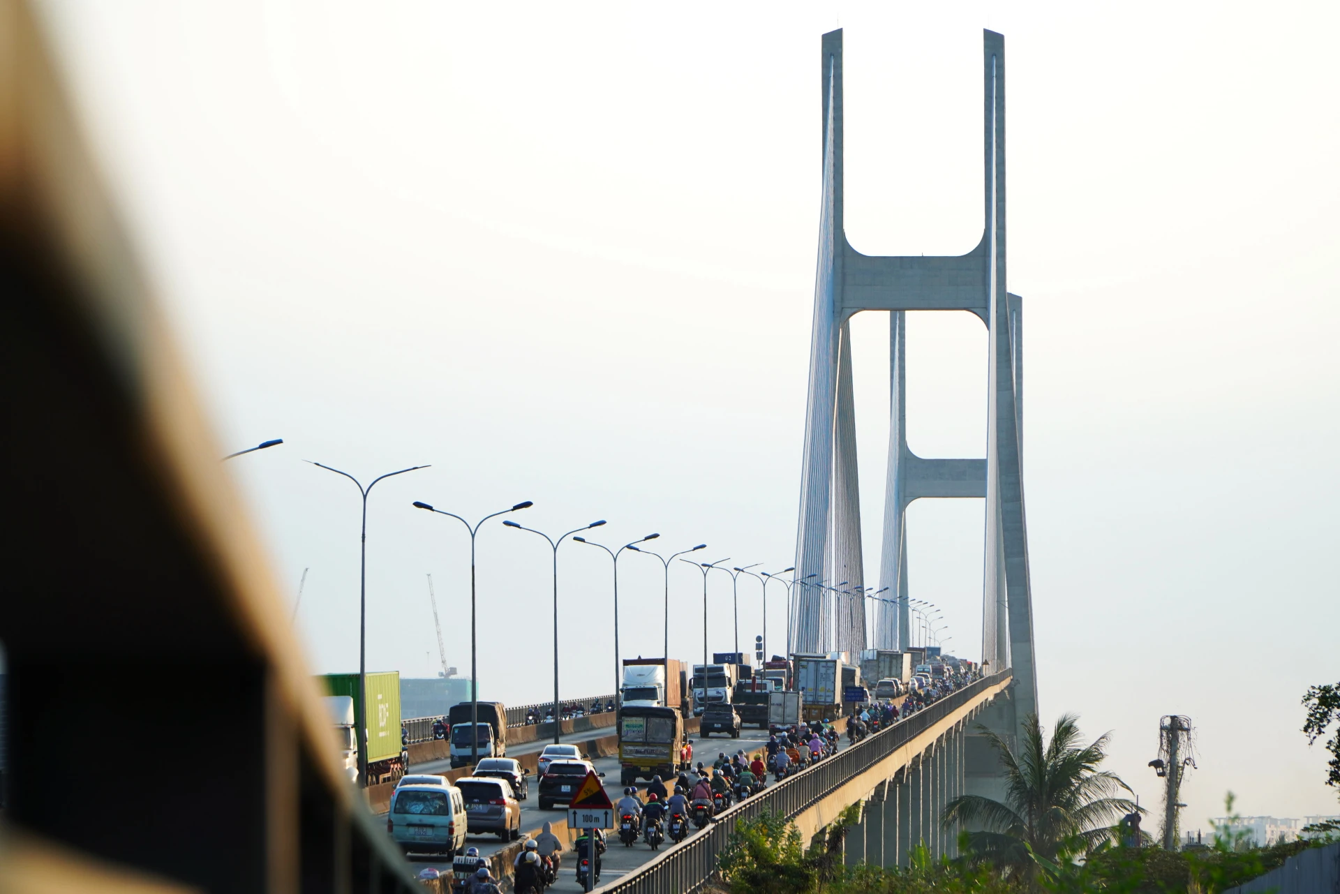 TPHCM-nhung cay cau-stit3-cau Phu My-2.jpg