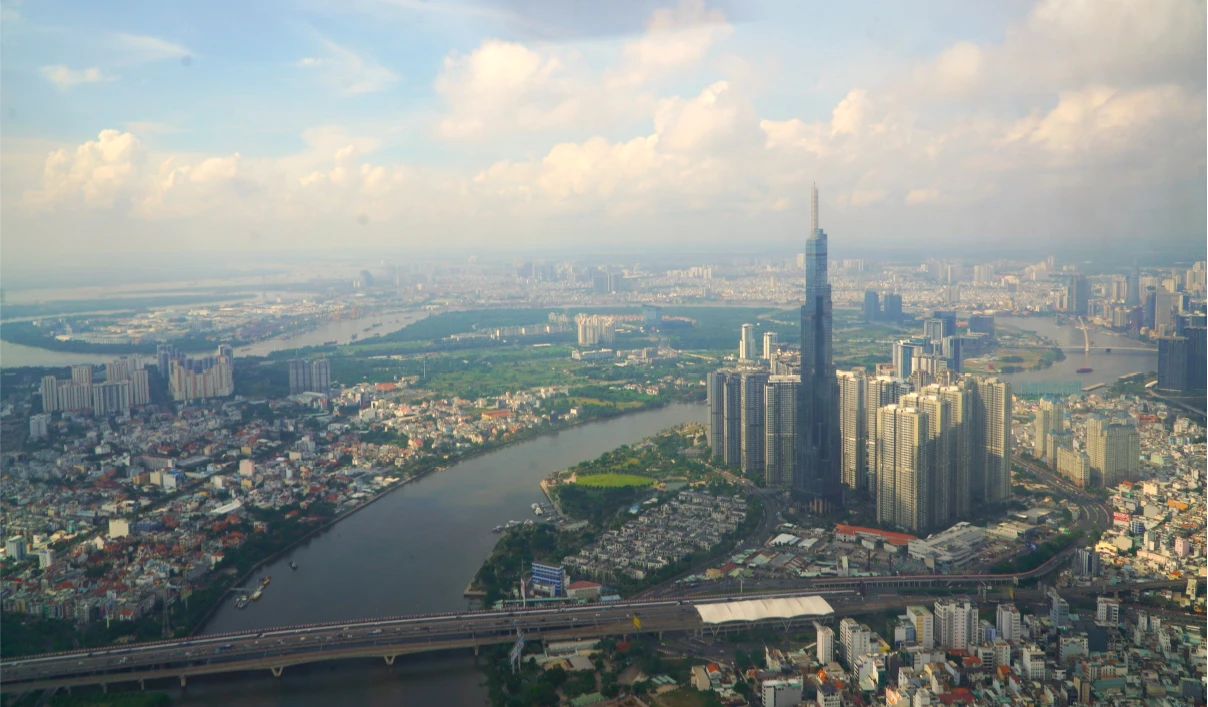 TPHCM-nhung cay cau-stit-1-cau SG-3.jpg