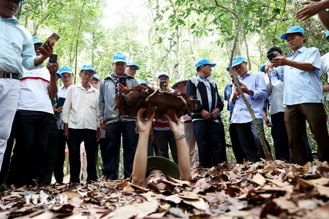 Du khách thích thú khi được  ttxvn-0205-cu-chi-4.jpg