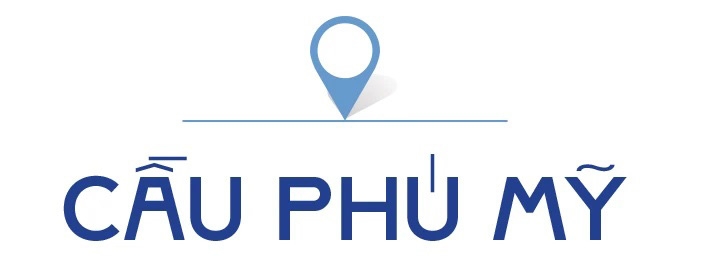 TPHCM-nhung cay cau-stit3-cau Phu My.jpg