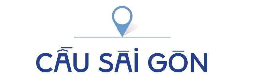 TPHCM-nhung cay cau-stit-1-cau SG.jpg