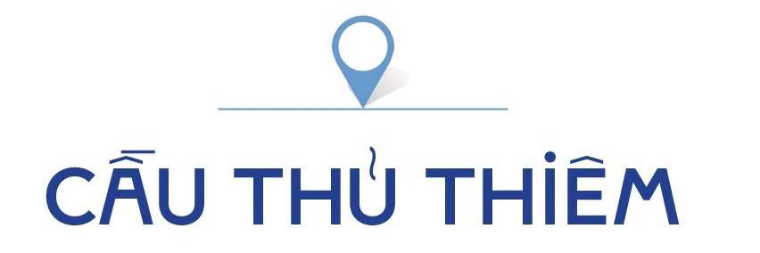 TPHCM-nhung cay cau-stit-2-cau Thu thiem.jpg