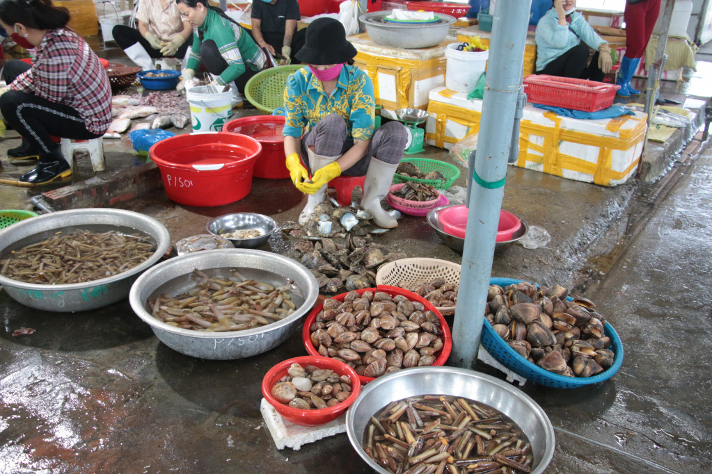 Hải sản tươi sống sau khi đánh bắt về được bán tại chợ Cô Tô.